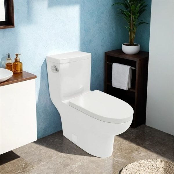 One Piece Toilets